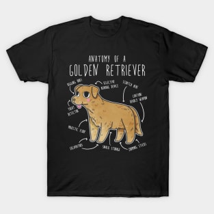 Golden Retriever Anatomy T-Shirt